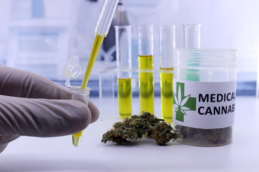 Einige Proben von Hanföl neben einen Behälter mit der Aufschrift "Medical Cannabis". Eine Hand in einen sterilen Handschuh befüllt gerade eine Fiole mit Hanföl.